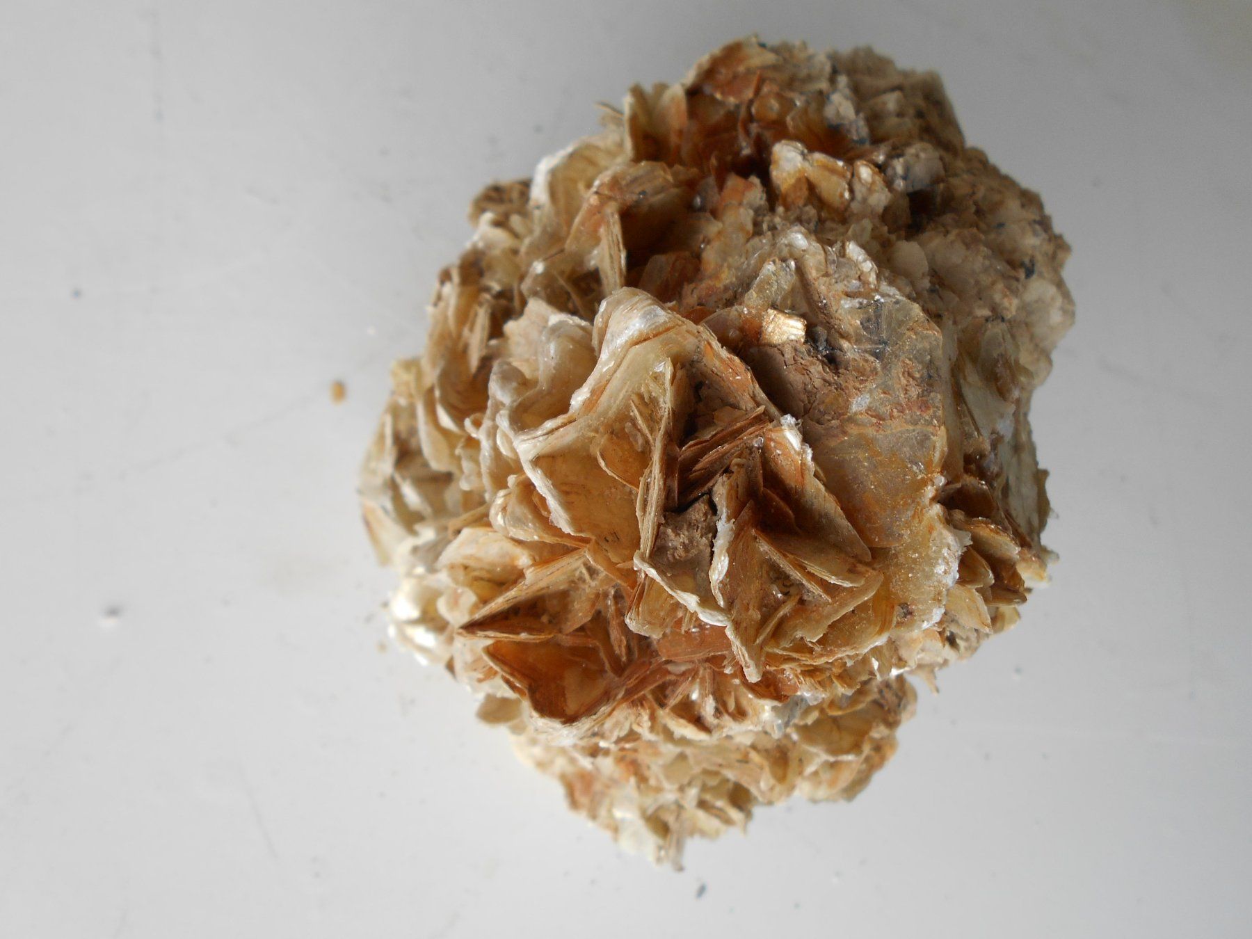 Mineralien & Heilsteine: Muskovit Stufe ca. 1,3 kg – Neu (gemäss Beschreibung) aus Zürich von swisscristal01 2