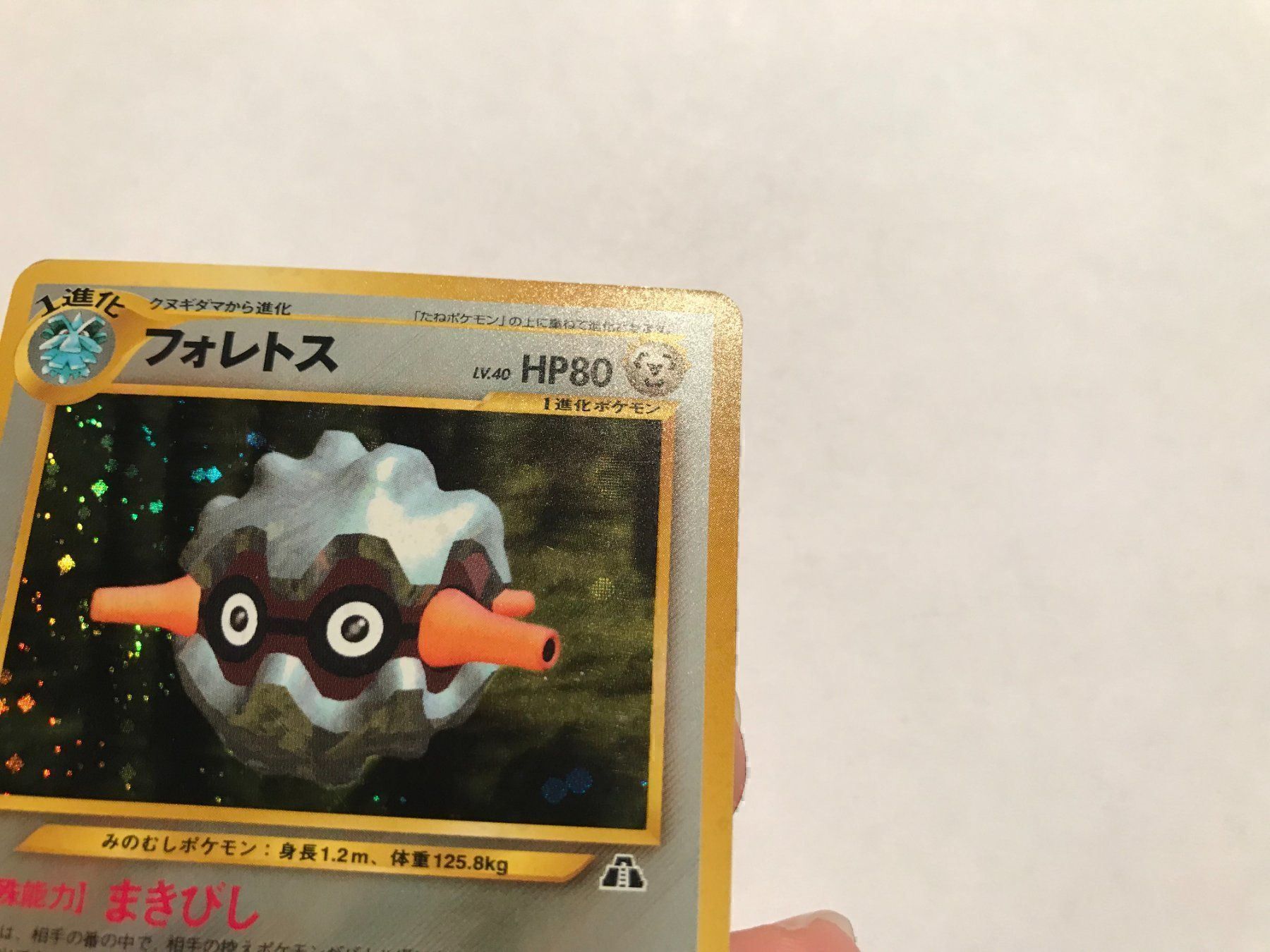 Pokémon Carte collezionabili: Forretress holo Japanese – Usato da Hagendorn venduto da Pokecollectorch 1