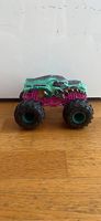 Hot Wheels Monster