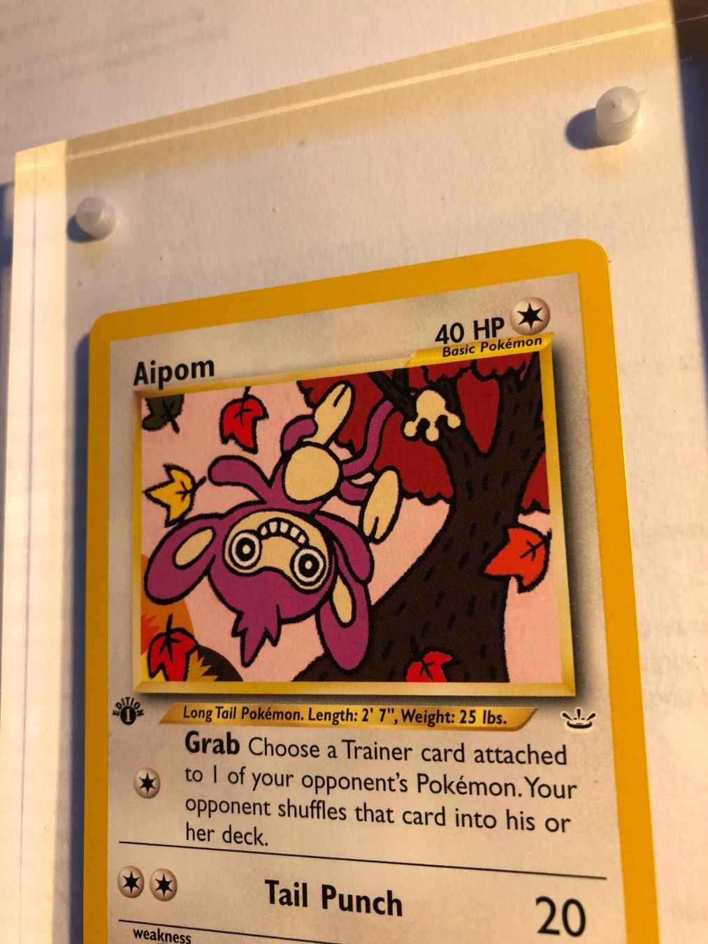 Sammelbilder & Trading cards: Aipom 1st Neo Revelation - MINT - ab 1.- – Gebraucht aus Giubiasco von dan_pr8b 3