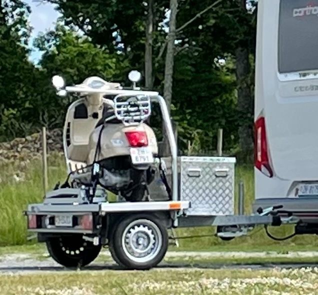 Sitemapcdatahttpsaktuelinfbizidsawiko Wheely Gebraucht Kaufen