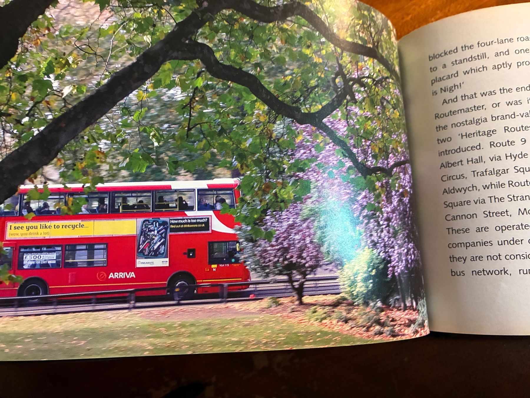 Libri: Livre sur Bus London – Usato da Paudex venduto da micinque 2