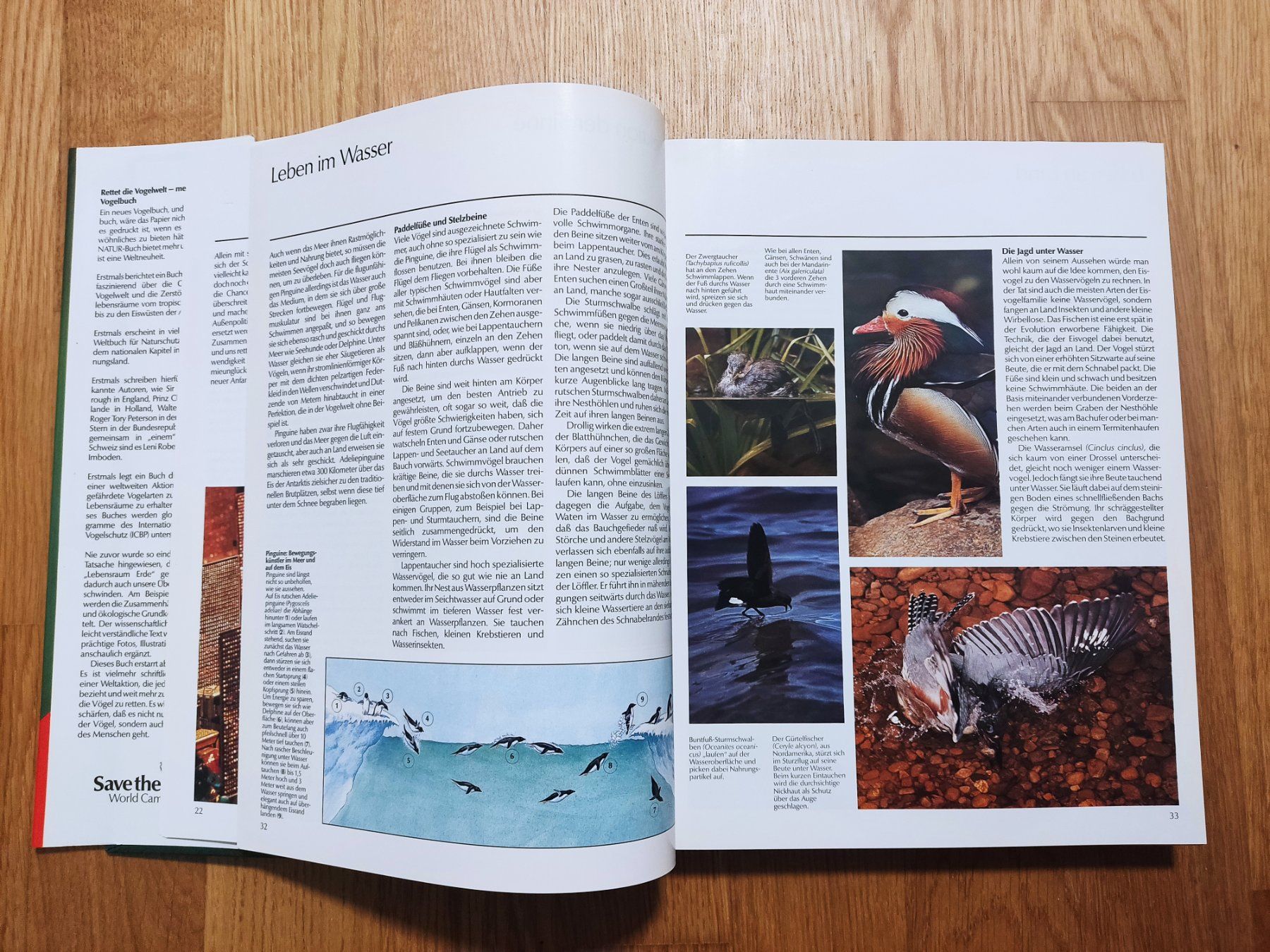 Bücher: Rettet die Vogelwelt - Schweizer Ausgabe – Gebraucht aus Buchs AG von patiburgener 3