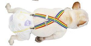 Altro in  Abbigliamento & Accessori: Hunde Hosenträger Gr M – Nuovo e nell'imballaggio originale da Matt venduto da Westigruppe 2