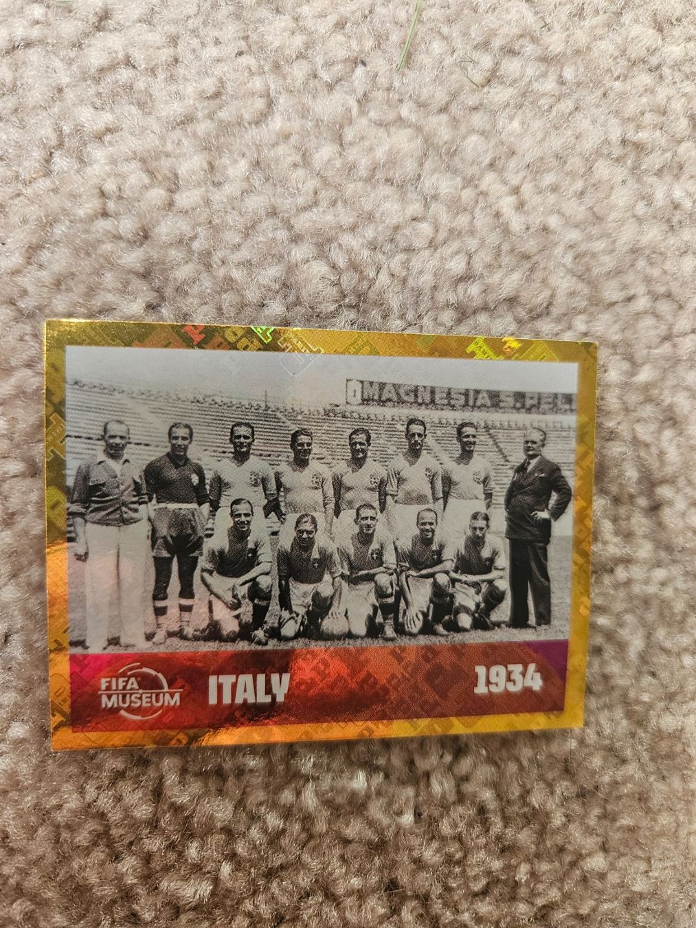 Panini Carte collezionabili: Carte Panini WM 2026 – Usato da Henniez venduto da Tjiminy