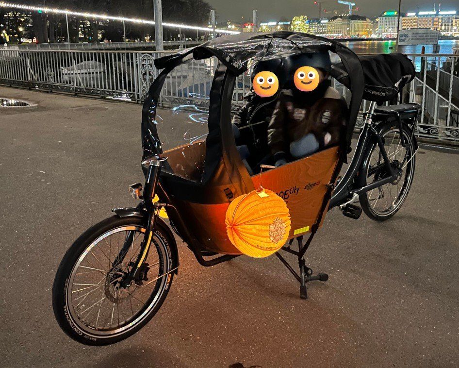 Babboe Biciclette: Babboe City-E électrique 450 Wh + accessoires – Usato da Genève venduto da Michael1207Geneve 1