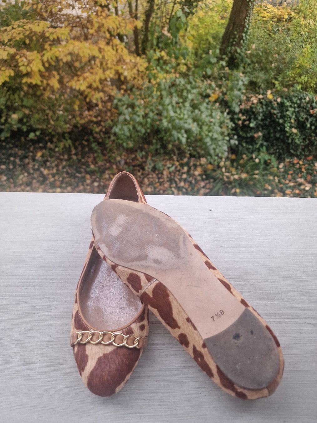 Scarpe da donna: Talbots Ballerina 37.5 – Usato da Basel venduto da chingson 3