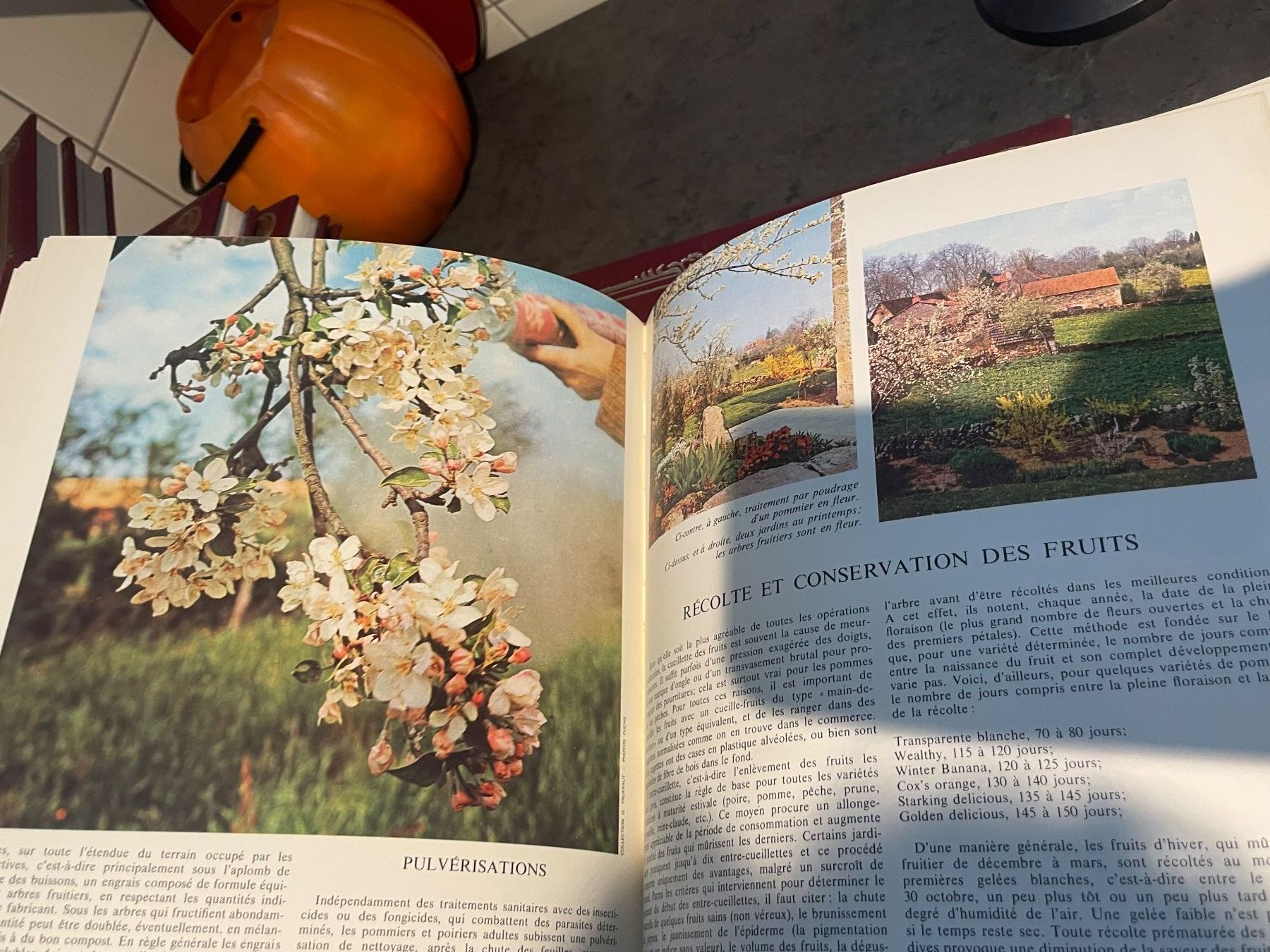 Libri: 1970s vintage encyclopedia: decor, design, clothes patterns – Usato da Genève venduto da lailas_things 5