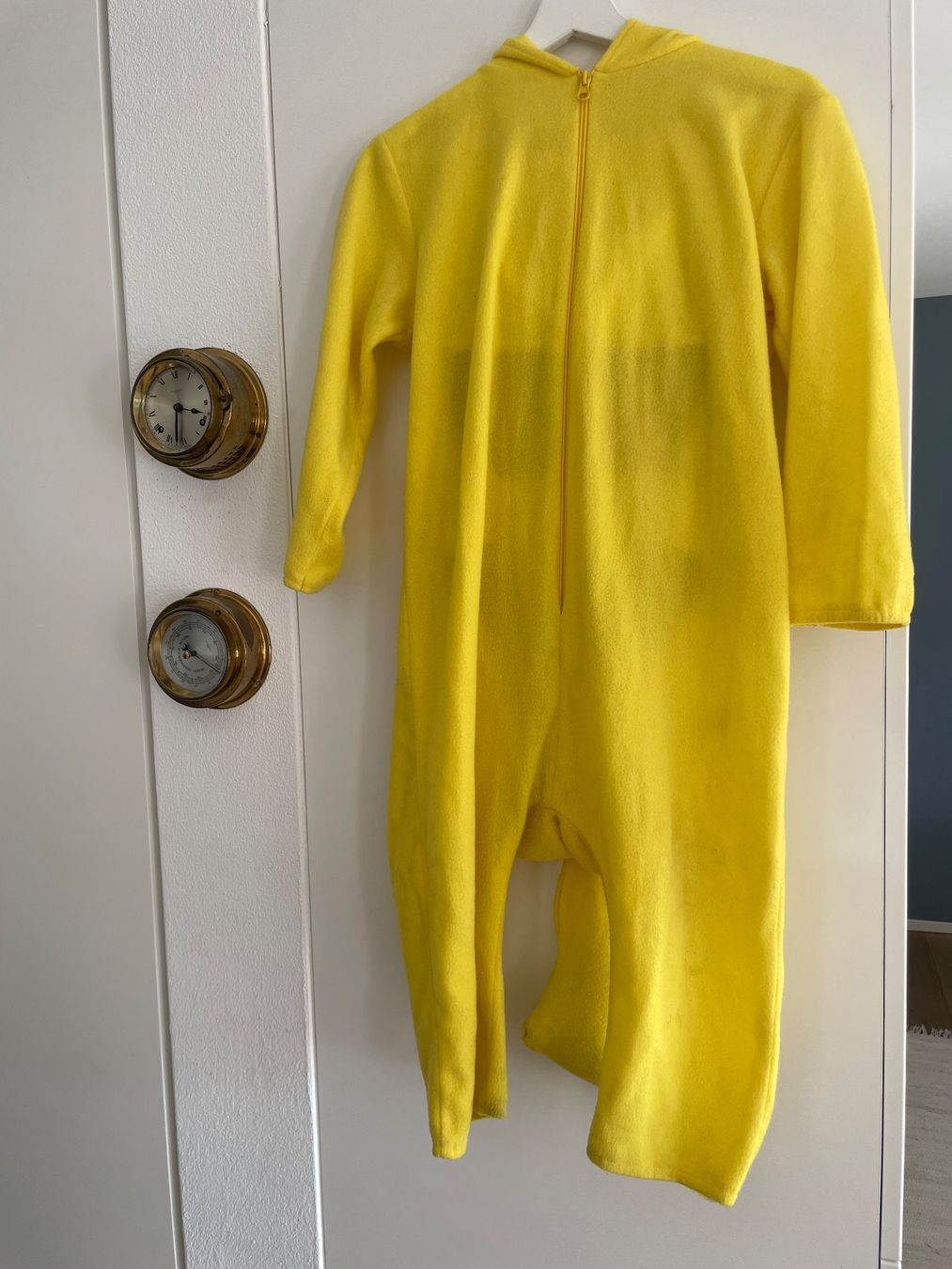 Costumi: Pokémon Anzug – Usato da Neuwilen venduto da bobbel01 1