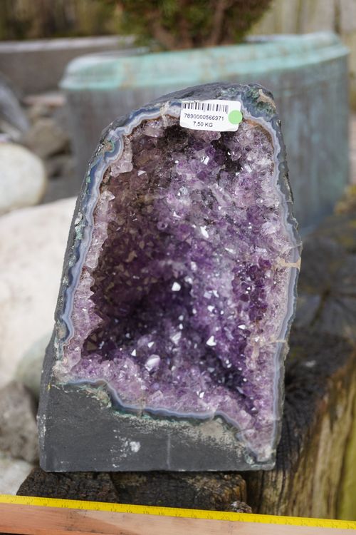 Amethyst   Druse   7.5kg     25cm x 15cm  Traumstück 9