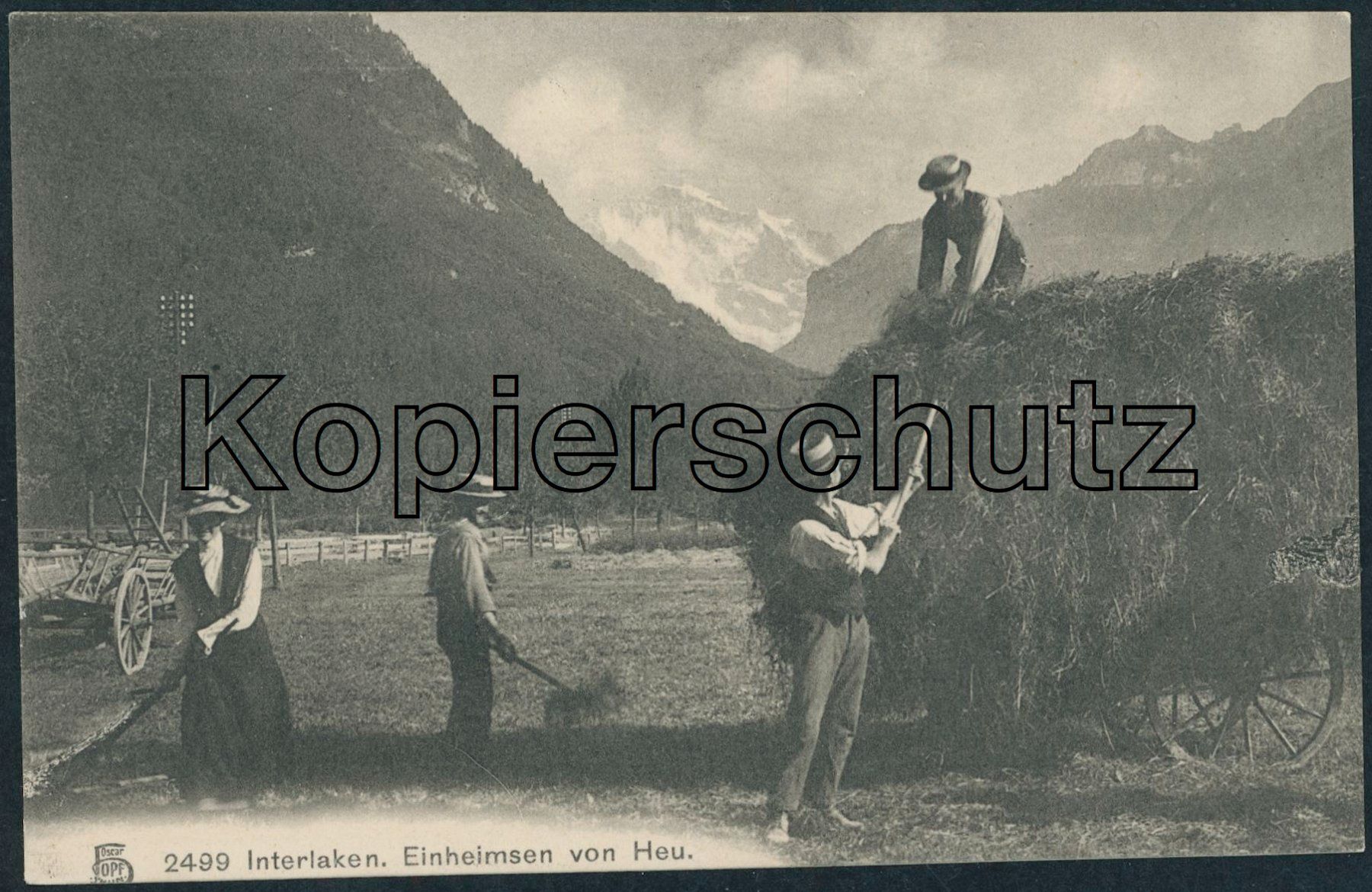 Ansichtskarten: BE Interlaken - Landwirtschaft – Neu (gemäss Beschreibung) aus Schindellegi von Jonathan77