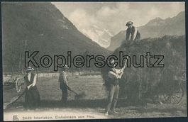 BE Interlaken - Landwirtschaft