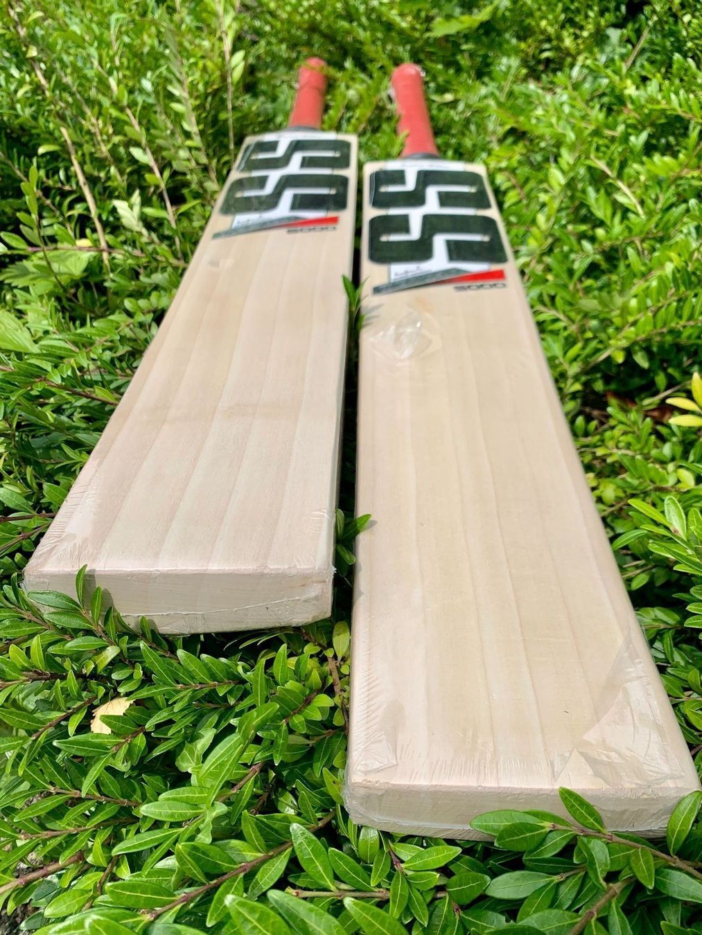 Articoli in legno: Cricket Bats SS Master 5000 SH – Nuovo e nell'imballaggio originale da Luzern venduto da ronymamuni 8
