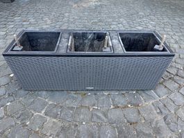 Lechuza Cottage Trio 30 - pot à réservoir d'eau