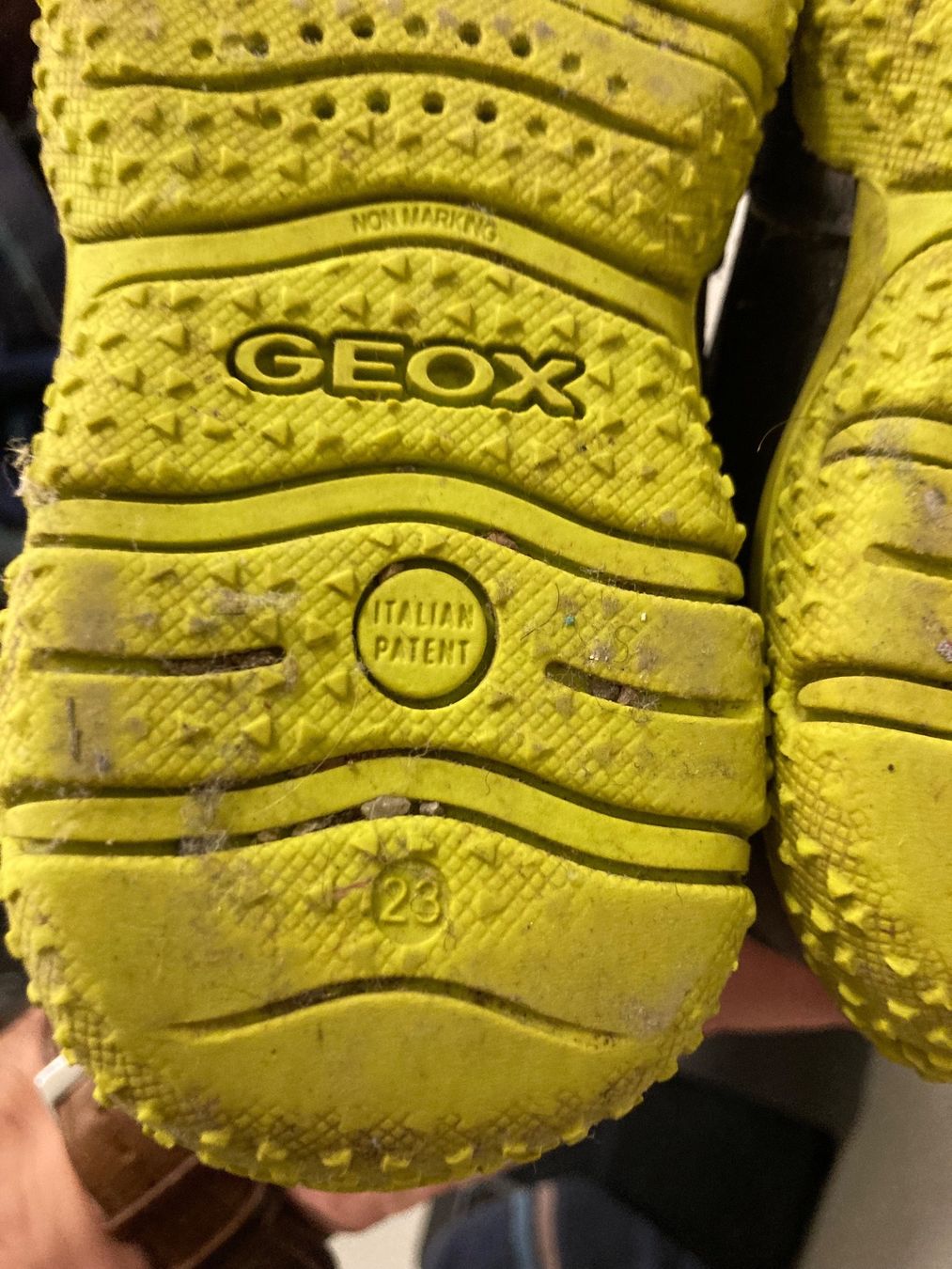 Geox Scarpe per ragazzi: Geox Winterschuhe Grösse 23 – Usato da Basel venduto da Ullminator 1