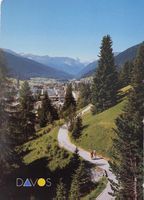 DAVOS  -  Höhenpromenade =>Tinzenhorn und Piz Michel 1989