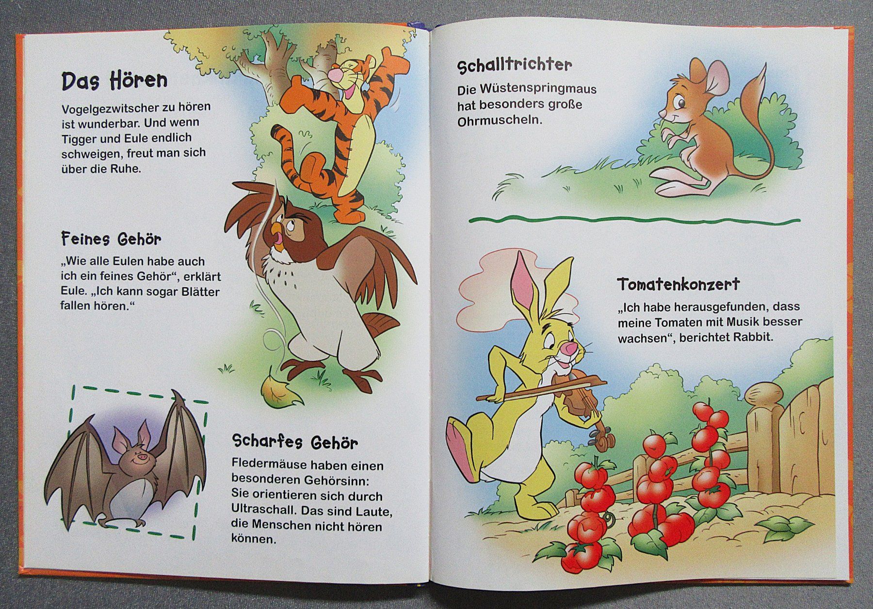 Libri: Winnie Puuh - Entdecke die 5 Sinne – Usato da Auenstein venduto da Padabimbim 3
