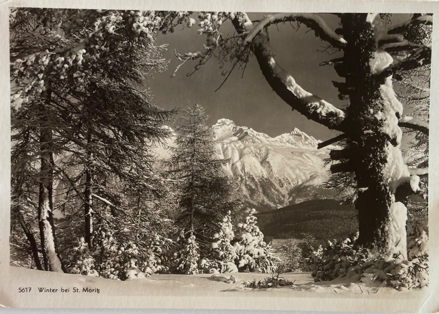 Cartes postales: Albert Steiner, St. Moritz - St. Moritz im Winter, 1937 – D'occasion à Frauenfeld par Merk52