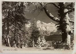 Albert Steiner, St. Moritz - St. Moritz im Winter, 1937