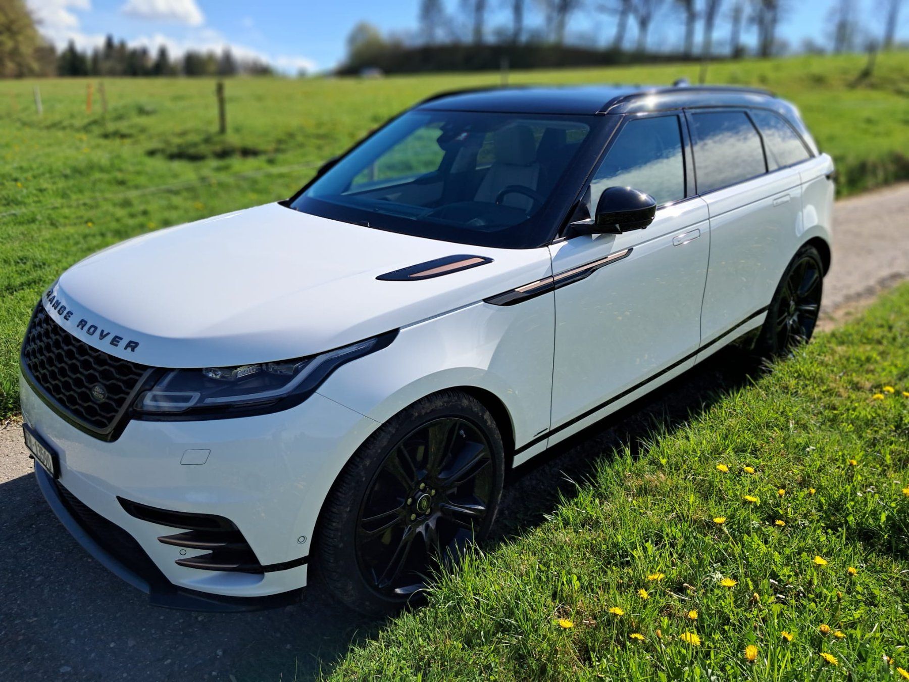 Land Rover Automobili: LAND ROVER RR Velar D300 – Usato da La Roche FR venduto da silvie59