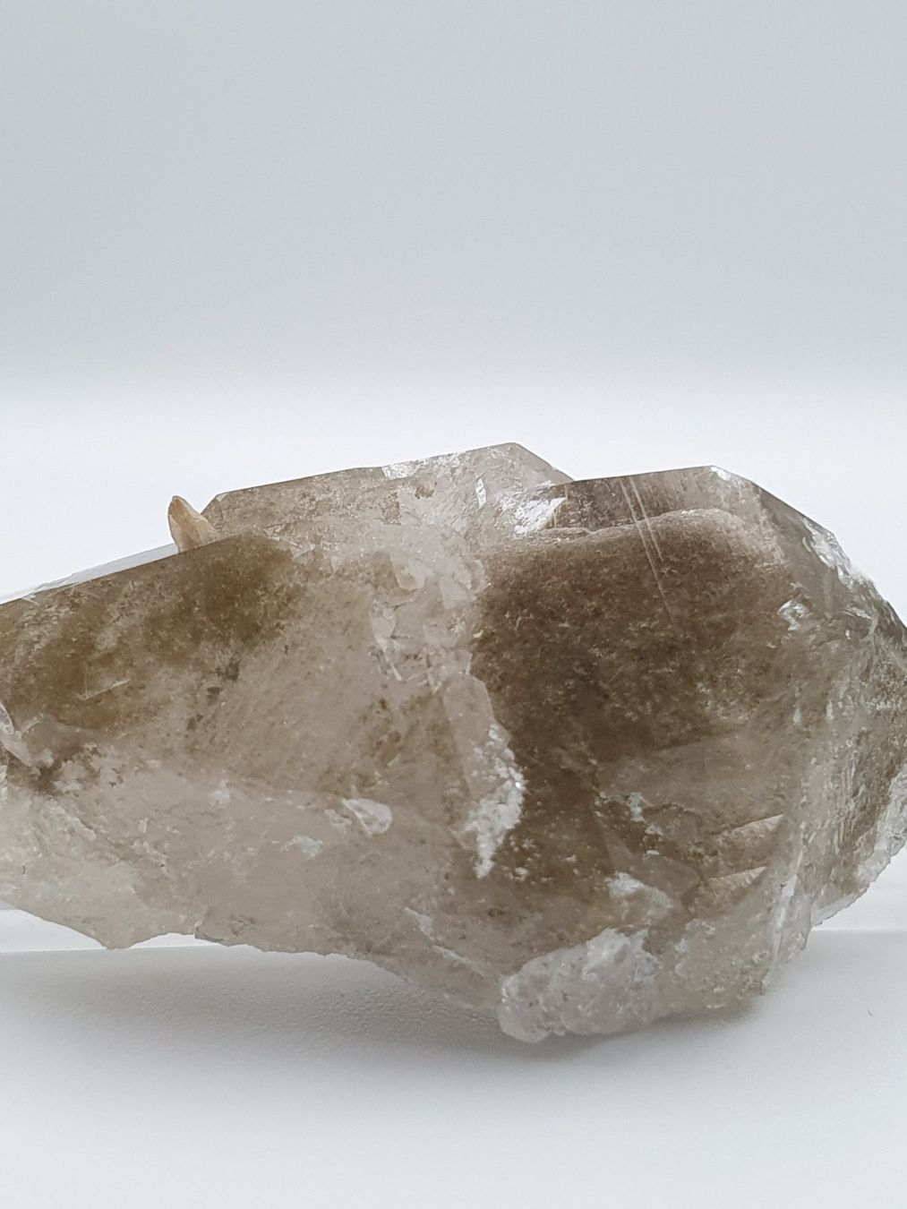 Minerali & Pietre curative: Phantomquarz mit Titanit – Nuovo (secondo la descrizione) da Holderbank SO venduto da swiss-minerals