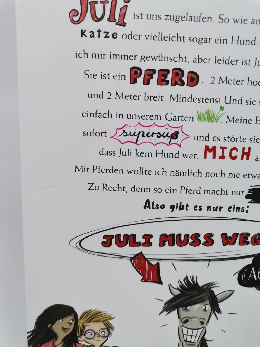 Libri: BUCH Und dann kam Juli – Usato da Schaffhausen venduto da Restwert_SH 7