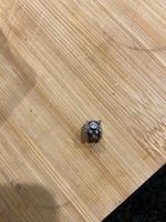 Pandora Charm
