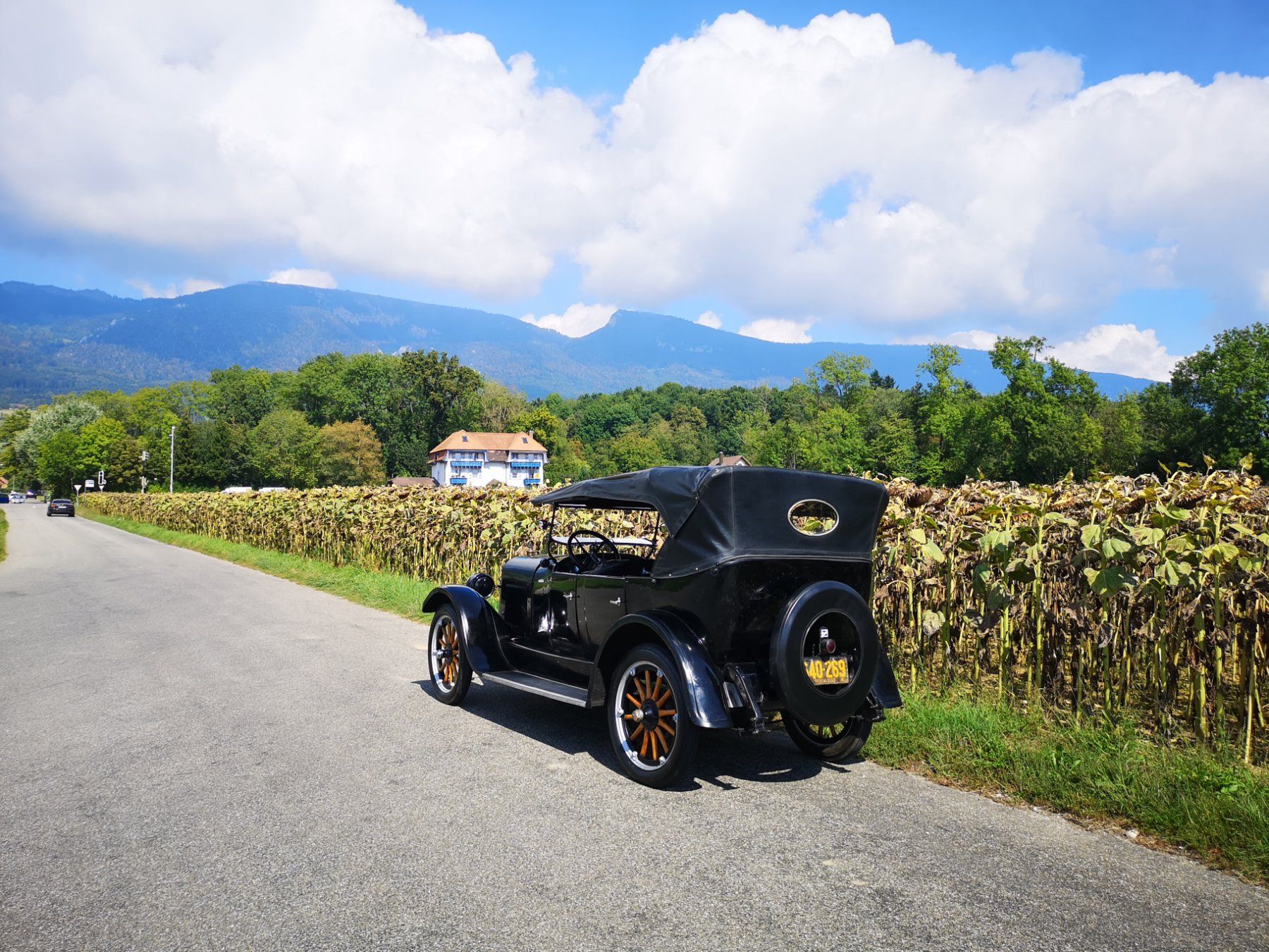 Buick Automobili: Buick 1923 23-35 Tourer – Usato da Selzach venduto da alprausch_so 2
