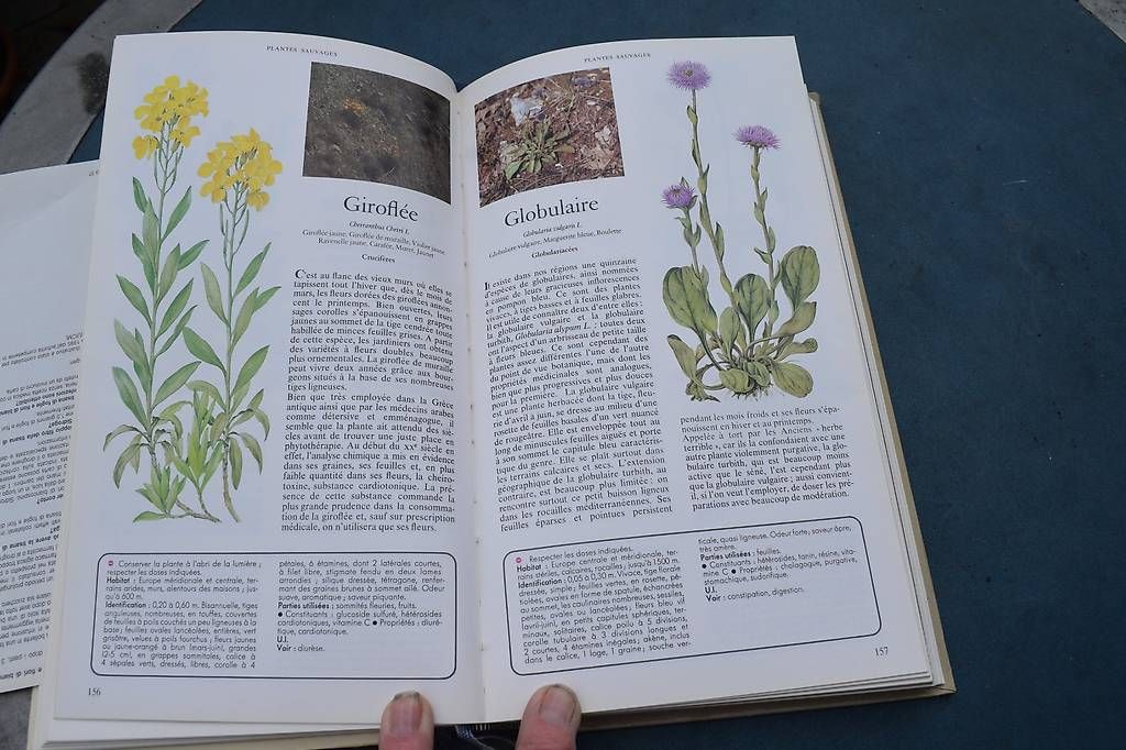 Libri: Planzen Medi Buch – Usato da Brügg BE venduto da Aristotolius 3