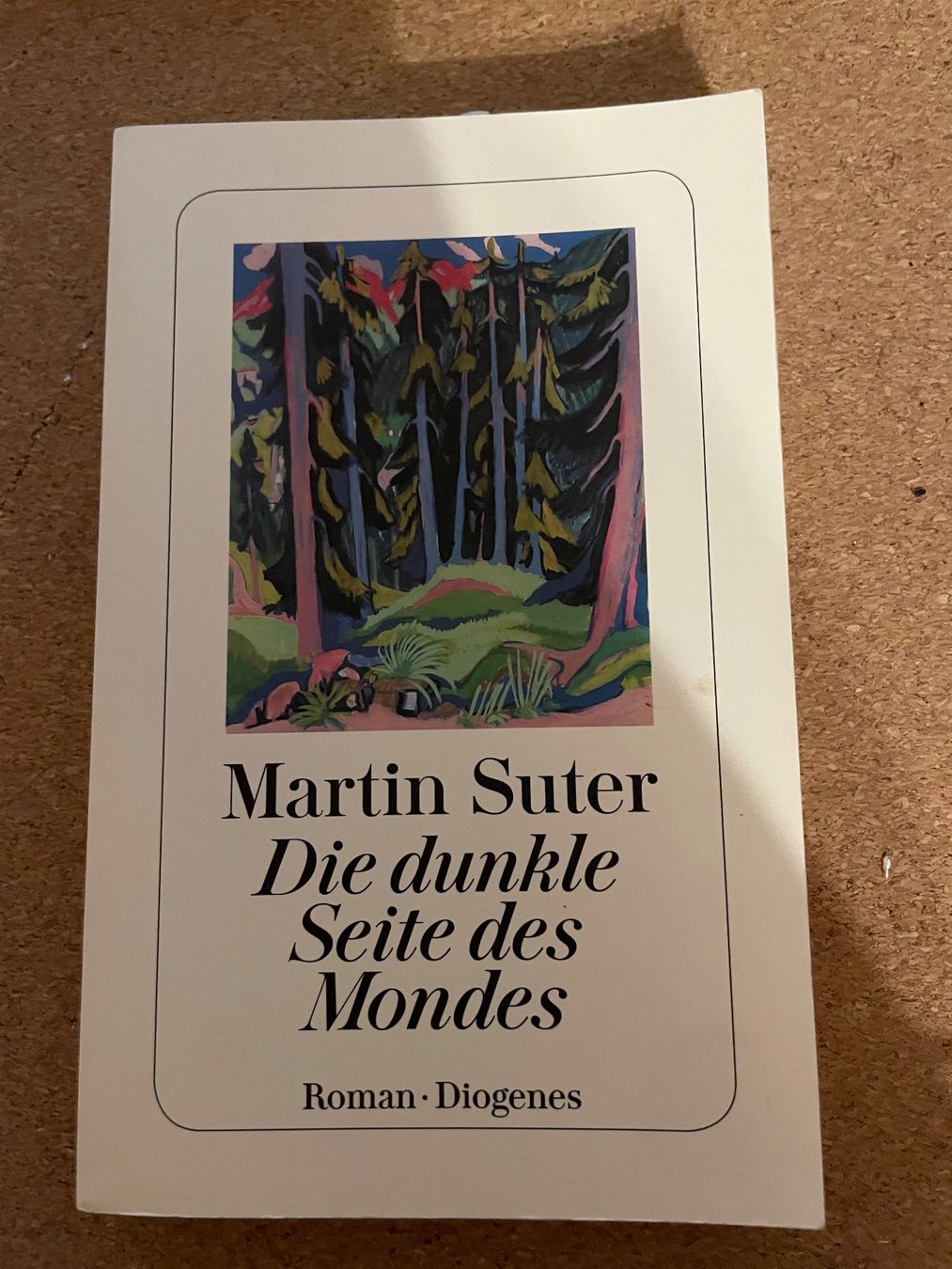 Bücher: Die dunkle Seite des Mondes – Gebraucht aus Huttwil von mir_ghn5
