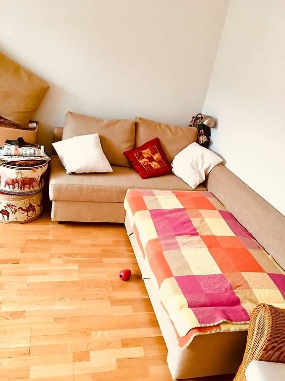 Ikea Divani: Friheten Eckbettsofa IKEA – Usato da Bern venduto da E111 2