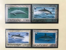 Montserrat 1990 Satz WWF Delphine postfrisch