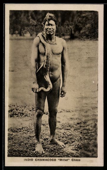 Cartes postales: AK Indio Chamacoco Millet with Snake – D'occasion à Berlin par bartko-reher
