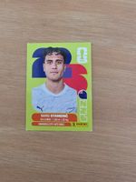 Panini Fifa NZL 15
