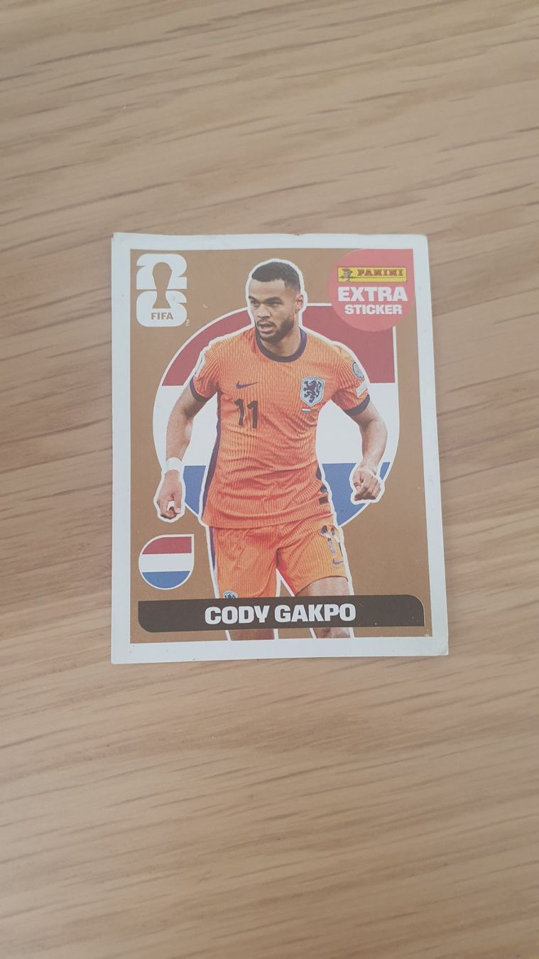 Panini Carte collezionabili: Panini – Usato da Aarau venduto da mbu14