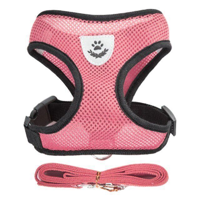 Abbigliamento: Welpen HUNDE Katze GESCHIRR – Nuovo e nell'imballaggio originale da Uerkheim venduto da Kaufoption 5