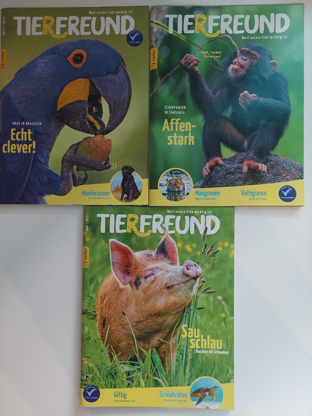 Riviste & Magazine: Tierfreund Magazine 10 Stk. – Usato da Liesberg Dorf venduto da FamilieBond007 1