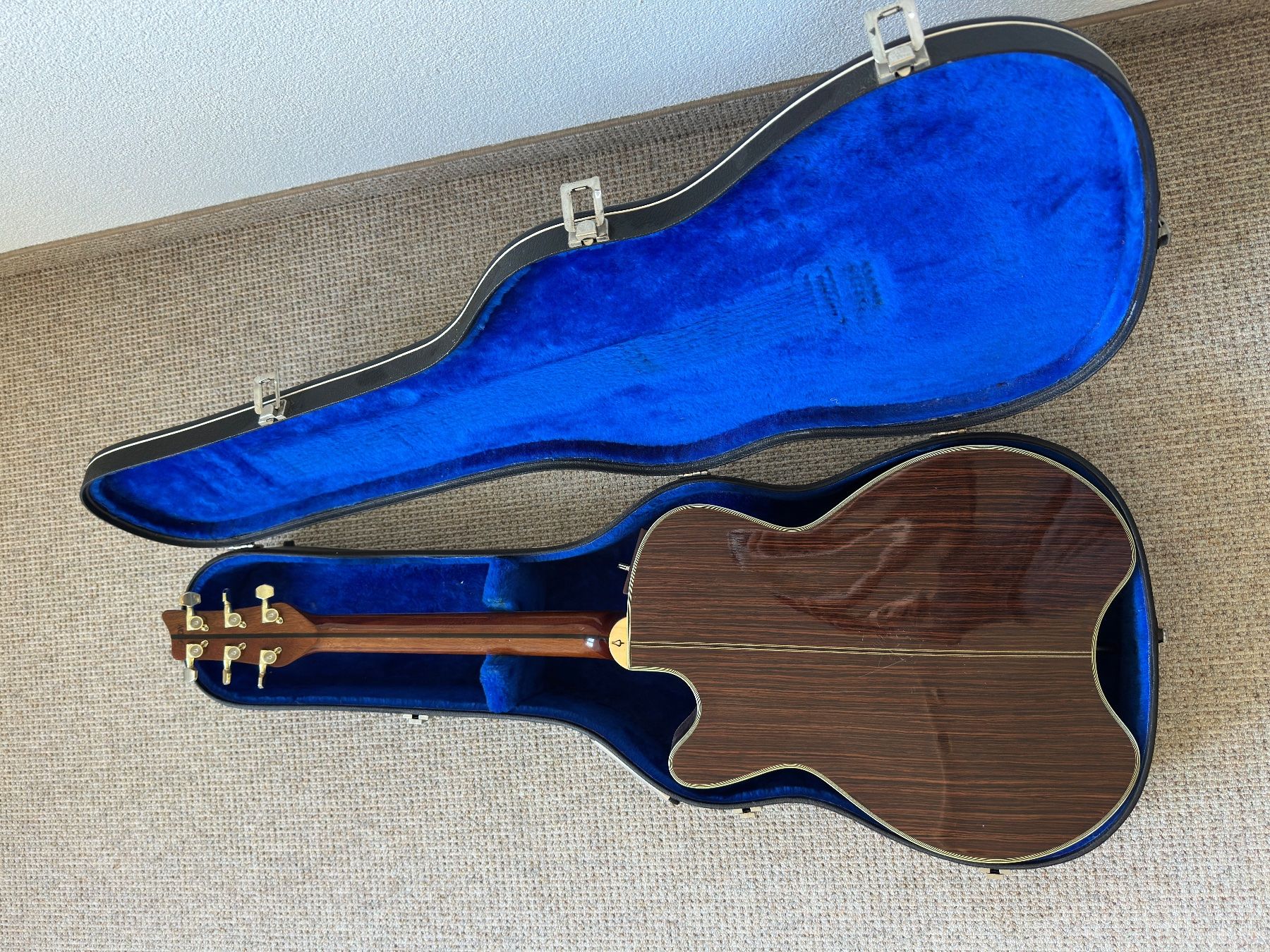 Strumenti musicali: Gitarre Daion "The 81 - Gazelle" – Usato da Hittnau venduto da ShiTRabBbit 2