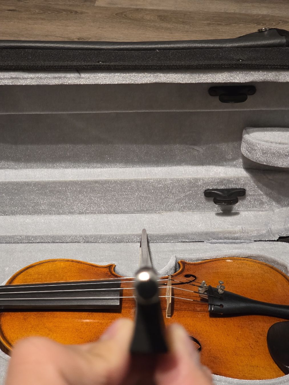 Instruments de musique: Violine  – D'occasion à St. Gallen par dsr_7bbm 5