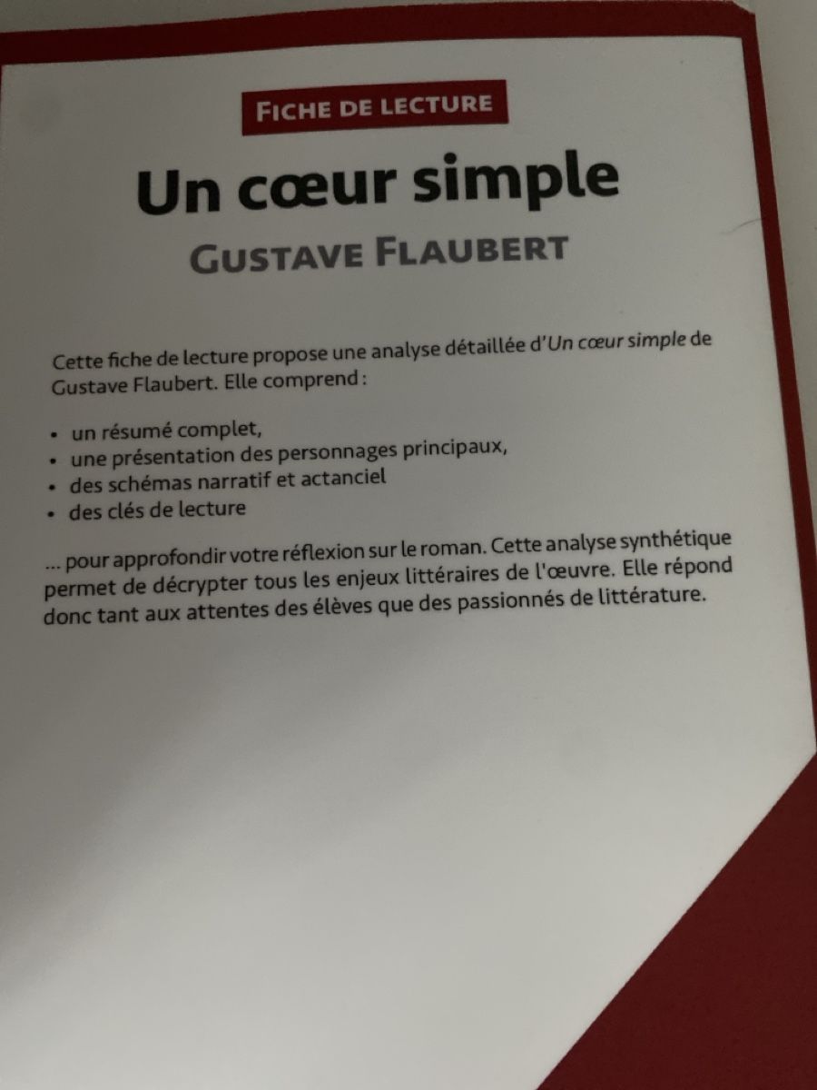 Libri: Buch-Analyse Un cœur simple (Gustave Flaubert) – Nuovo (secondo la descrizione) da Oberengstringen venduto da yae_r67h 1