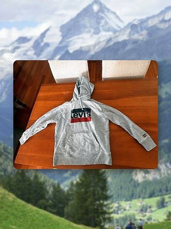 Levi's Hoodie grau, Herren M, grosses Logo
