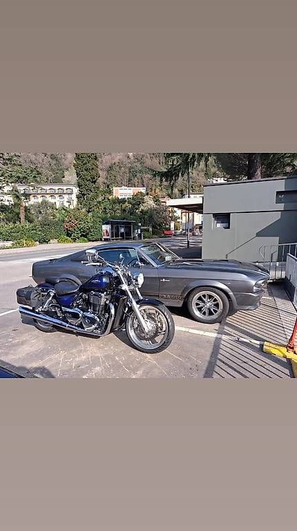 Chopper: Triunph Thunderbird  – Gebraucht aus Bigorio von ric_5yzm 4
