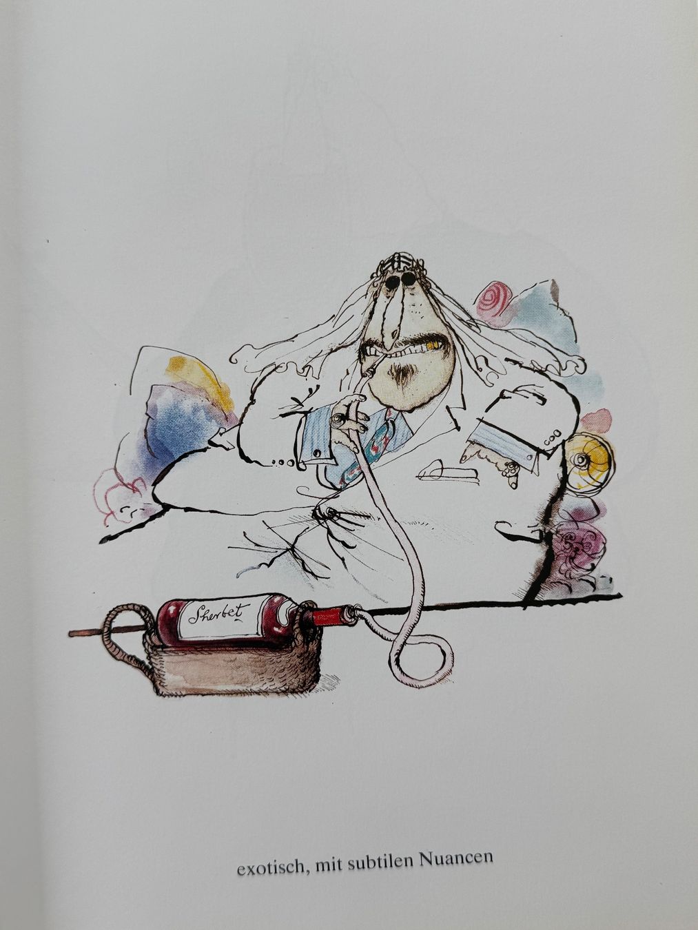 Fumetti: RONALD SEARL's  ILLUSTRIERTE WEINSPRACHE, Gerstenberg 1990 – Nuovo (secondo la descrizione) da Zürich venduto da Husopaska 3