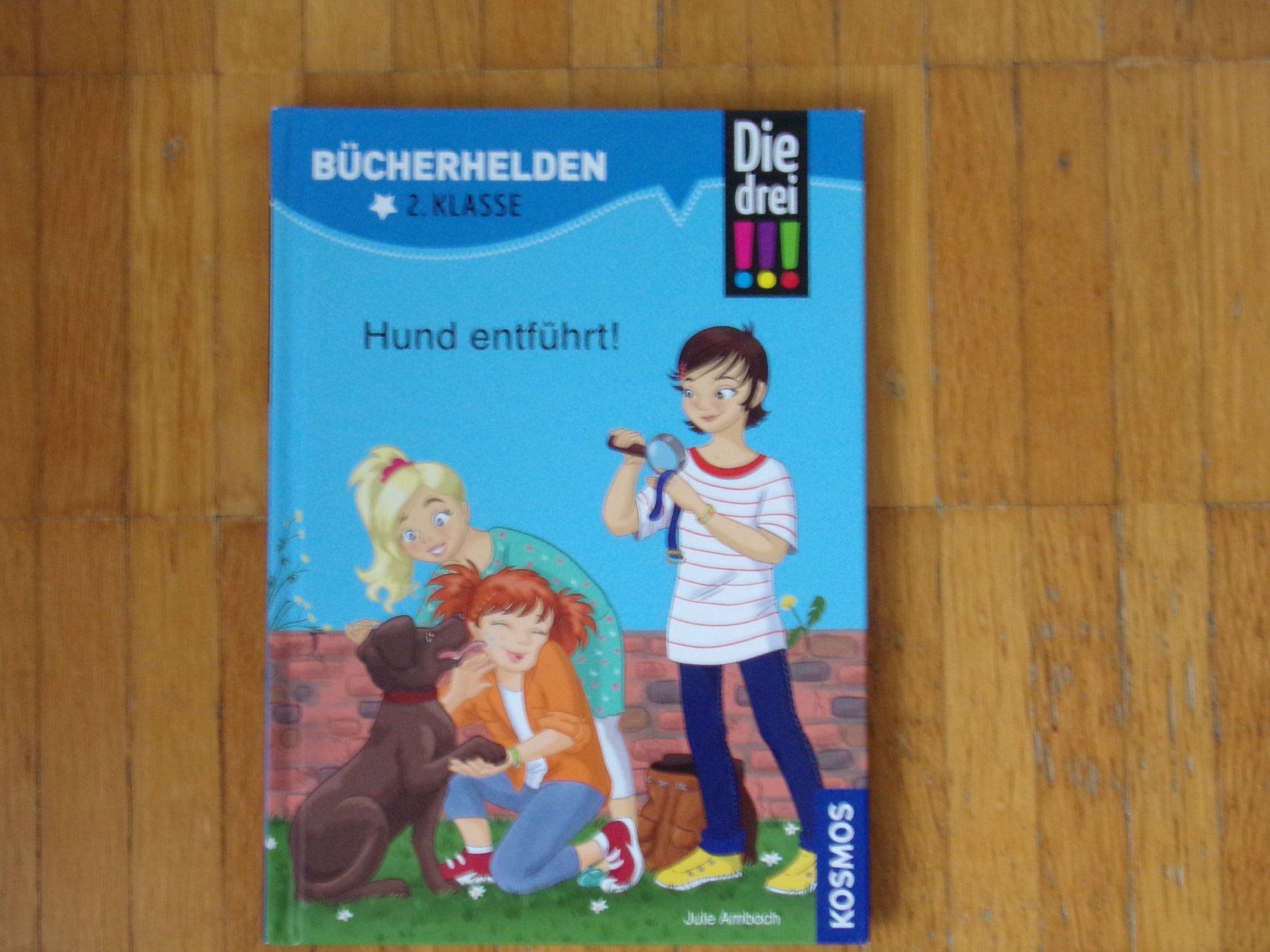 Libri: BÜCHERHELDEN  Hund entführt – Usato da Winterthur venduto da Jessi_di