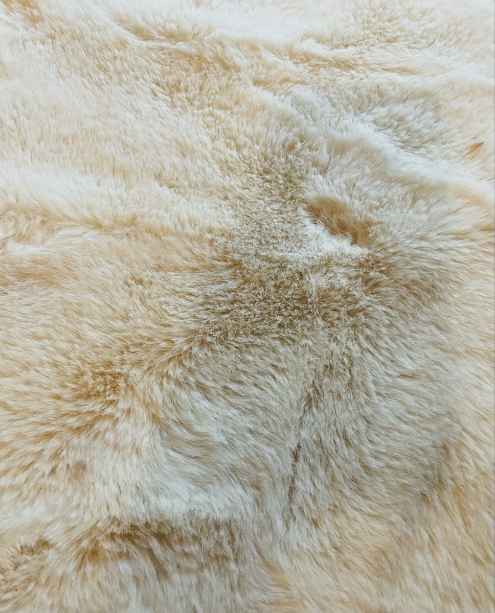 Tappeti: Flauschiger Teppich in Creme - Kuschelig! – Usato da Au ZH venduto da Jaggy4 5