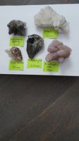 Seltene Gipslocke Stufe + 4 Mineralien, Schatzkiste 11