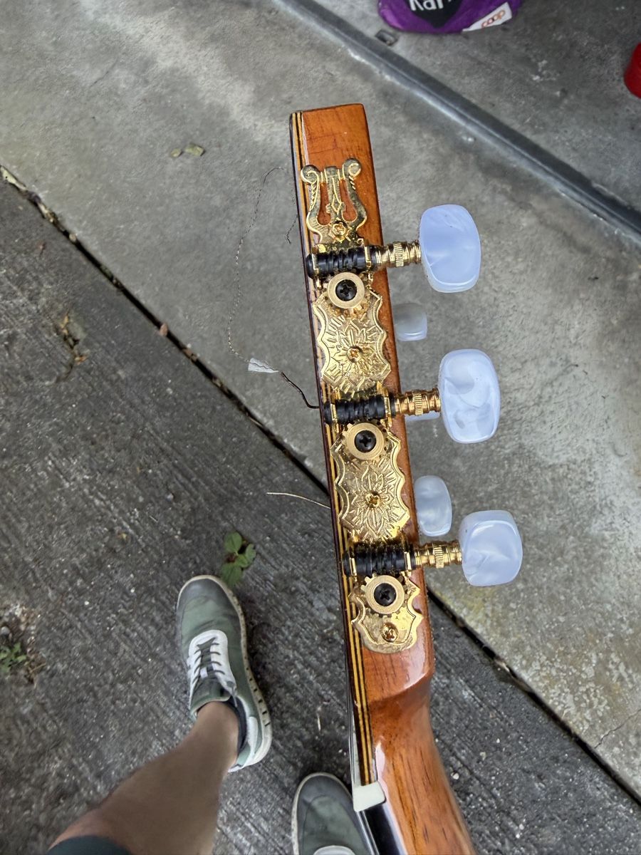Strumenti musicali: Di Giorgio Gitarre, Klassik Modell – Usato da Lyss venduto da nekoreh 8