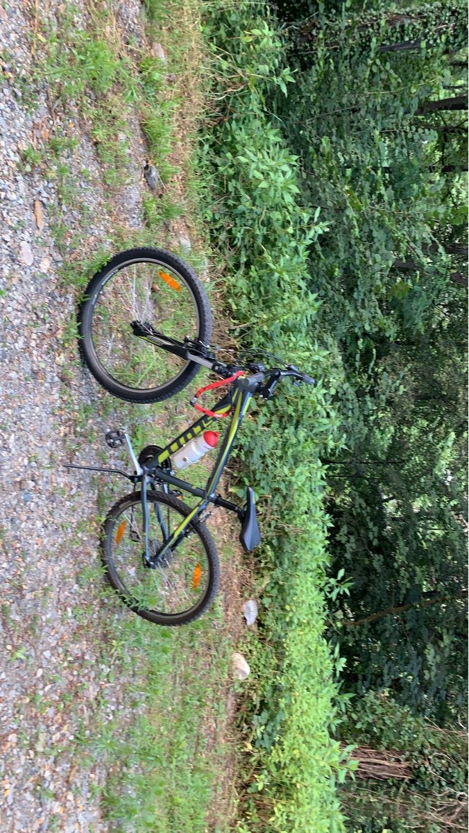 Vélos: Bicicletta – D'occasion à Locarno par Giona_valsa 3