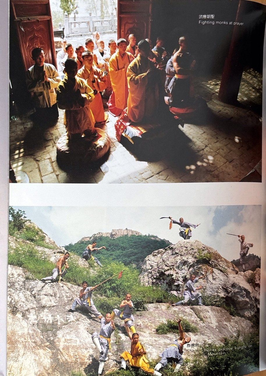 Libri: Ying Y.,  Shaolin Kungfu – Nuovo (secondo la descrizione) da Sarnen venduto da Livres 4