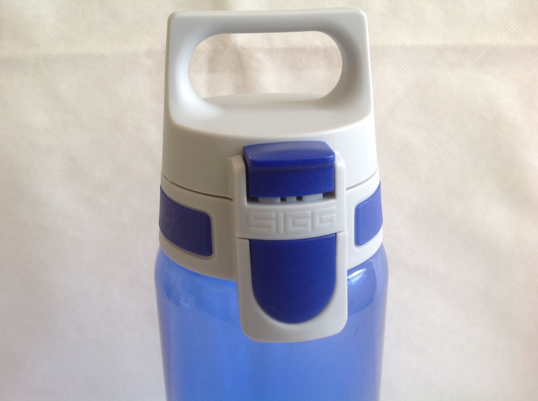 Sigg Borracce & Thermos: SIGG - Gourde - Bouteille - 0,6L – Usato da Sion venduto da accroshoes 1